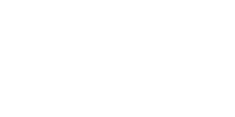 logo Stake Peru